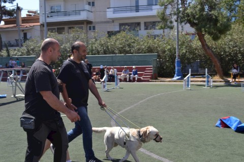 ΟΙ ΤΕΤΡΑΠΟΔΟΙ ΣΕ ΒΟΗΘΟΥΝ!