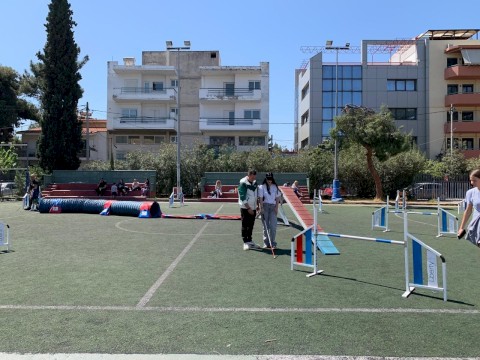 ΟΙ ΤΕΤΡΑΠΟΔΟΙ ΣΕ ΒΟΗΘΟΥΝ!