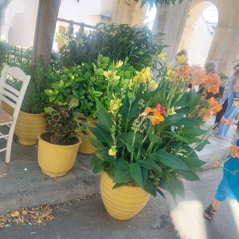 ....ένας όμορφος χρόνος Δραστηριοτήτων... έφτασε στο τέλος του...!