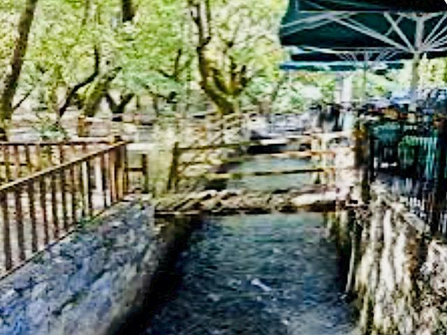 Σπήλαια Λιμνών – Πλανητέρο – Βυτίνα